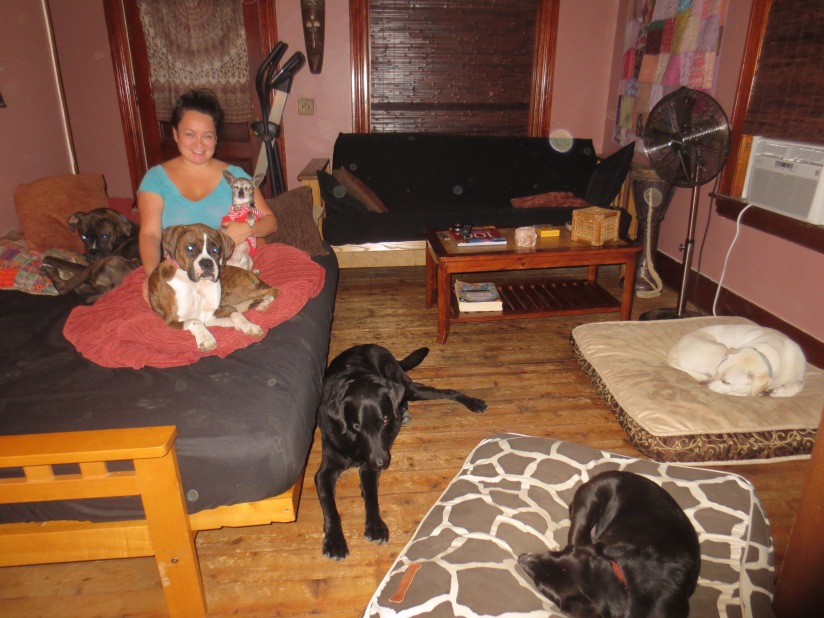 Rachel's Tranquil in home dog care